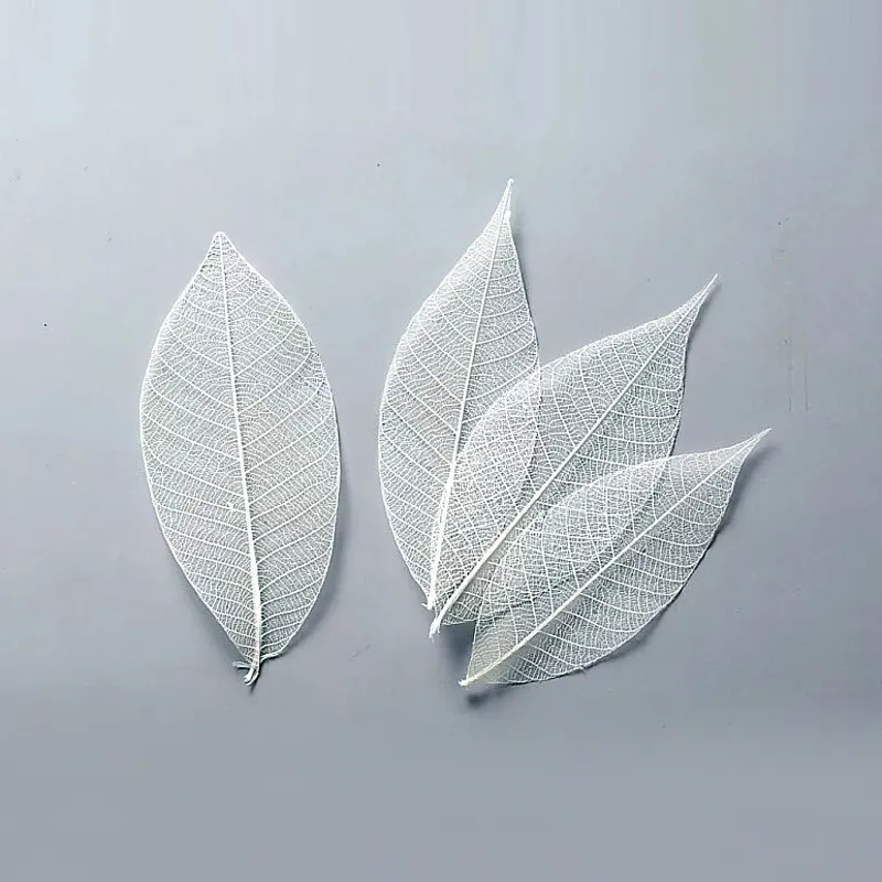 51494-011 迷你骨架葉-大 白
