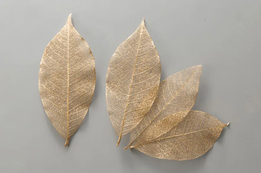 51493-902 迷你骨架葉-小 金