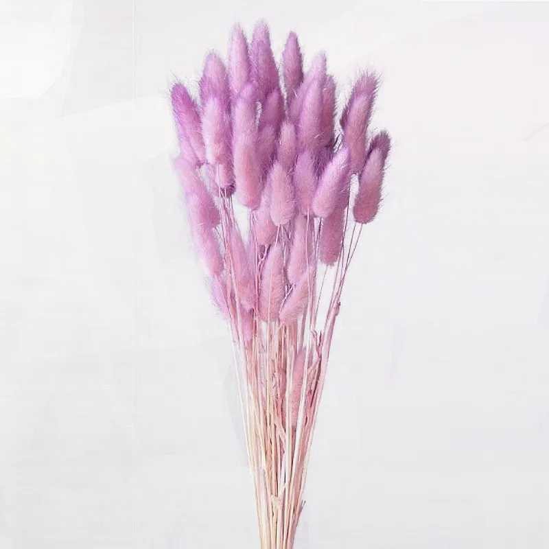 42055-142 兔尾草(雙色) 粉紫