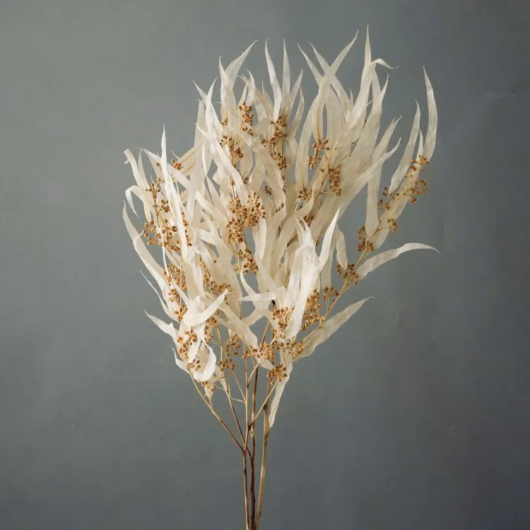 40175-011 尤加利花蕾-帶葉 米白