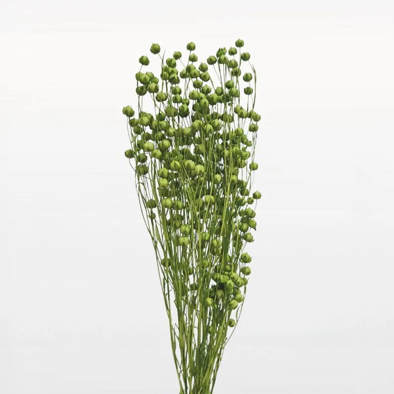 35010-791 臨花 牧草綠
