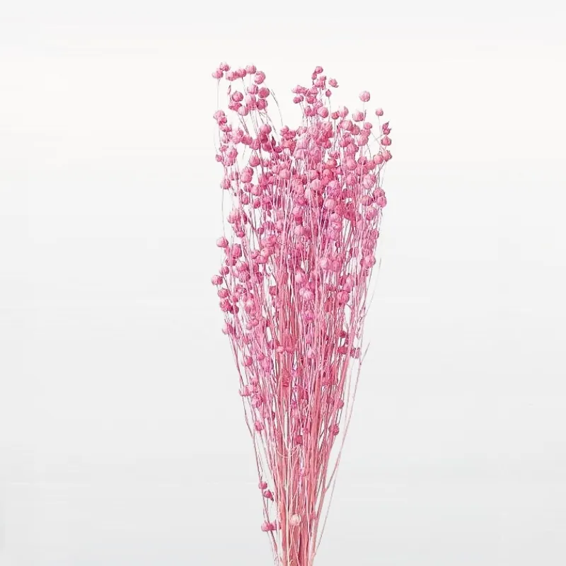 35010-221 臨花 草莓