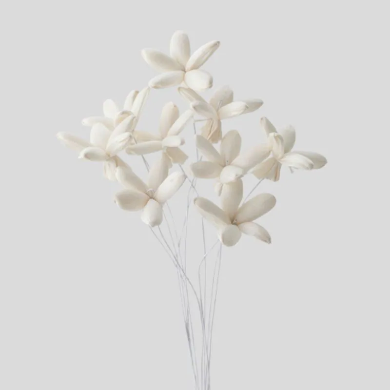 32810-010 索拉茉莉花插 白
