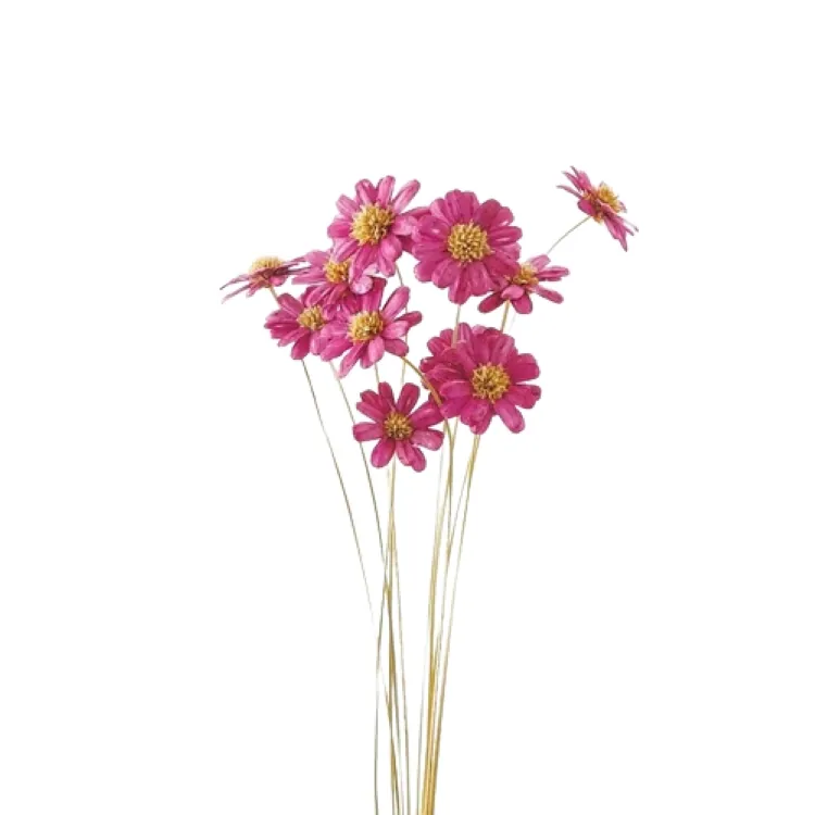 32370-150 手工瑪格麗特 蔓越莓粉