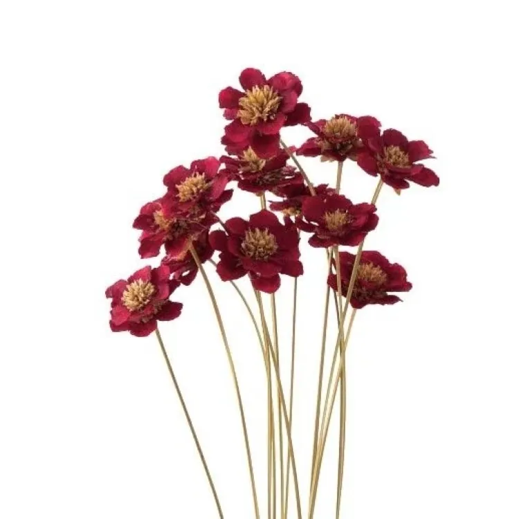 32360-480 手工銀蓮花 酒紅