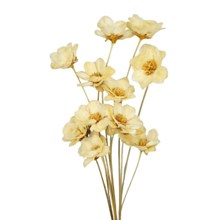 32360-010 手工銀蓮花 白