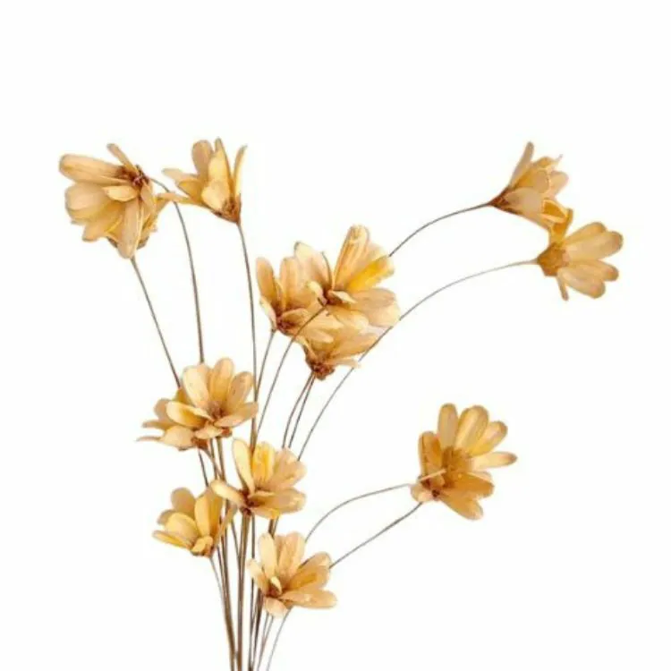 32140-510 手工小雛菊 奶油
