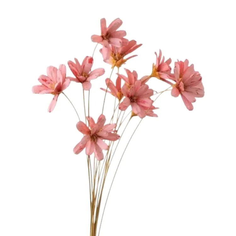 32140-100 手工小雛菊 粉紅