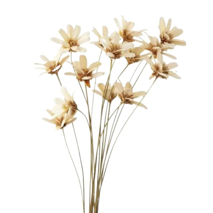 32140-010 手工小雛菊 白