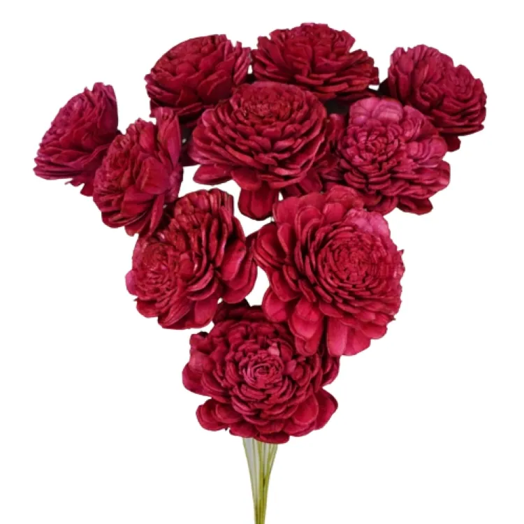 32083-470 索拉玫瑰花插-大 酒紅