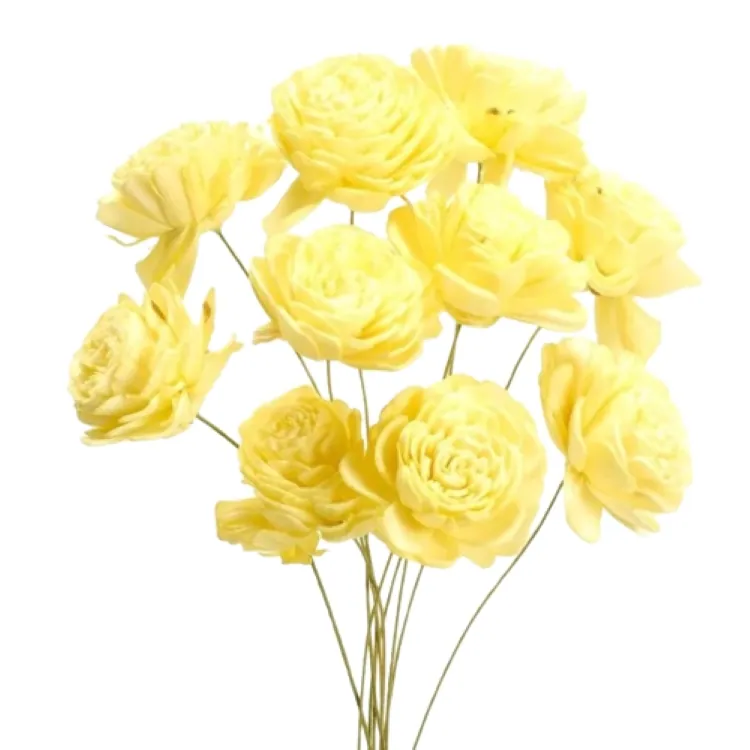 32081-541 索拉玫瑰花插-小 天使黃