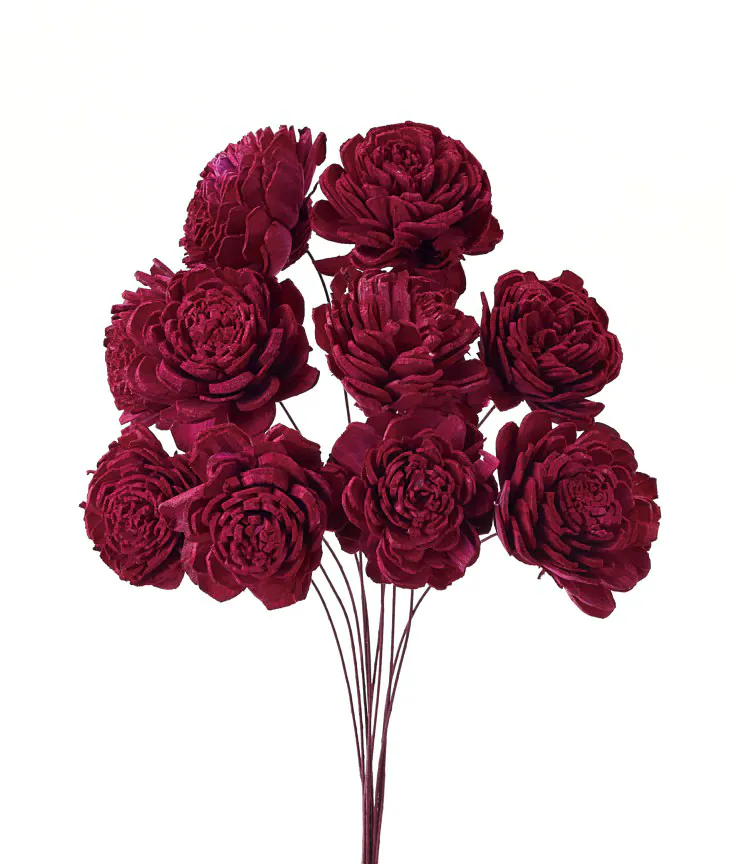 32081-470 索拉玫瑰花插-小 酒紅