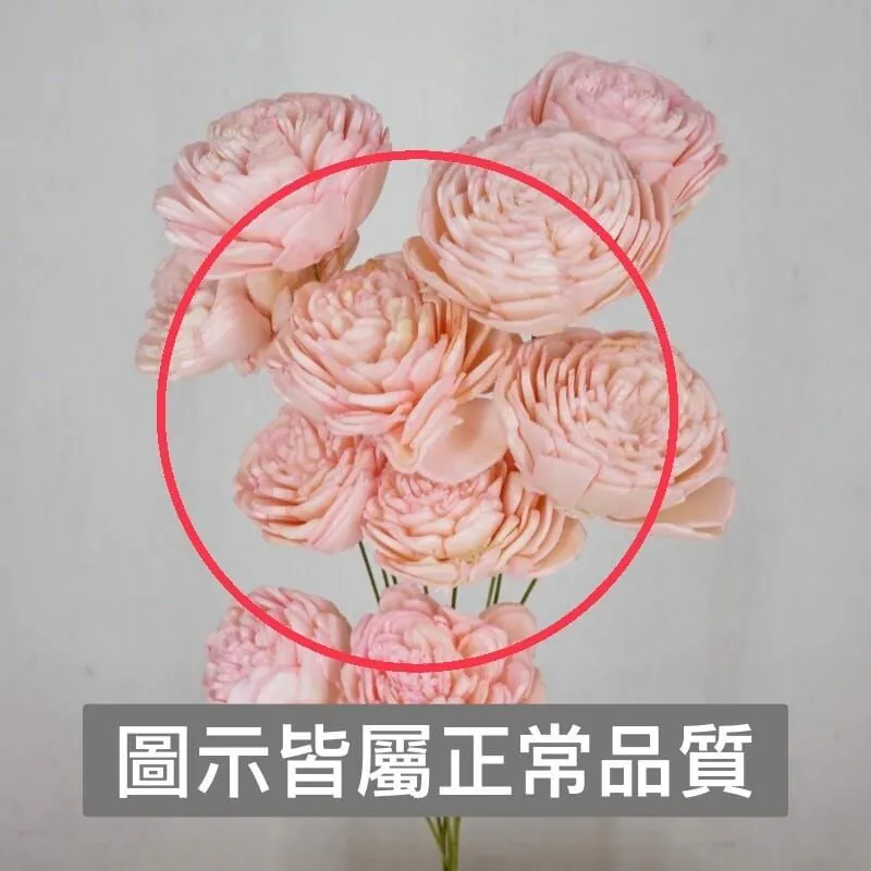 32081-371 索拉玫瑰花插-小 冰沙蜜桃