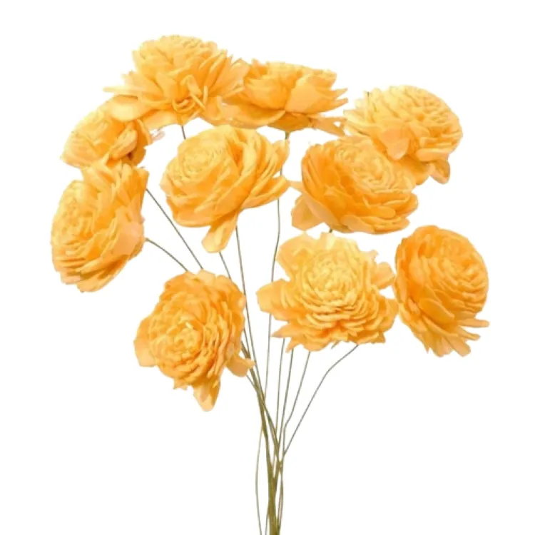 32081-360 索拉玫瑰花插-小 蜜瓜橘