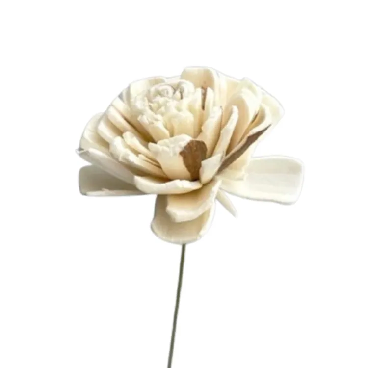 32081-360 索拉玫瑰花插-小 蜜瓜橘