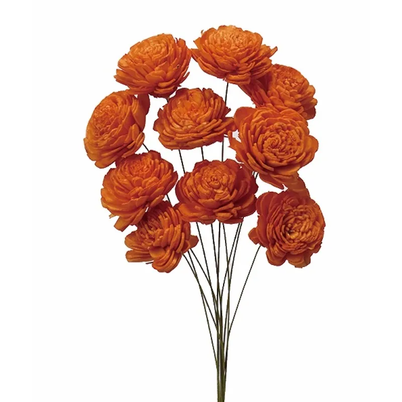 32081-350 索拉玫瑰花插-小 橘