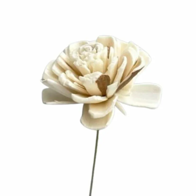 32081-350 索拉玫瑰花插-小 橘