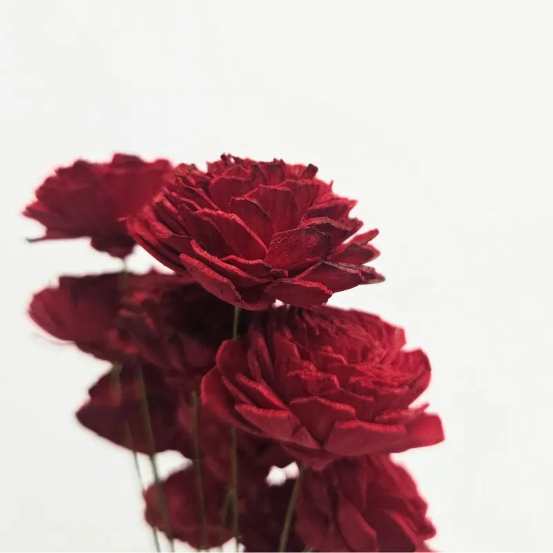 32081-330 索拉玫瑰花插-小 深紅