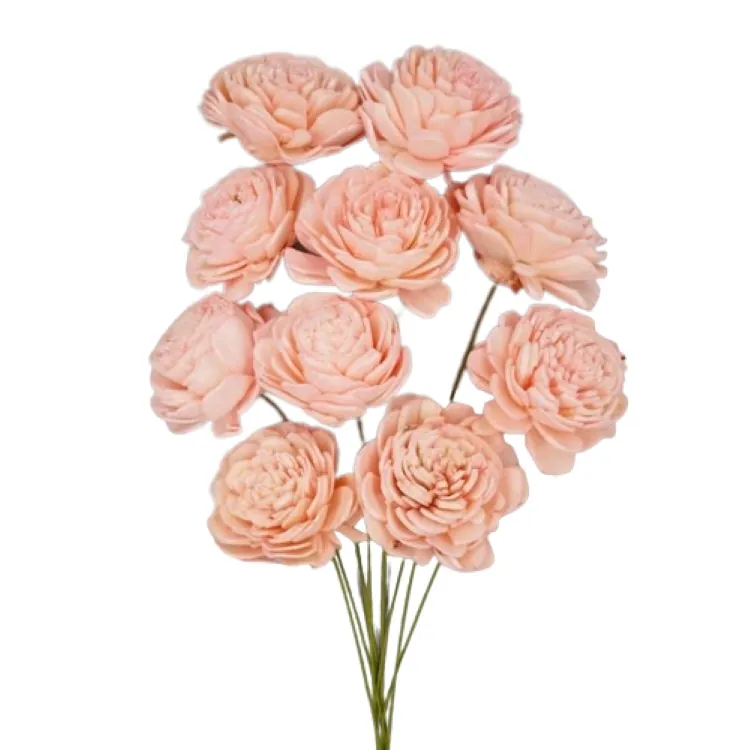 32081-141 索拉玫瑰花插-小 天使粉