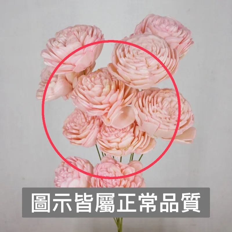 32081-141 索拉玫瑰花插-小 天使粉