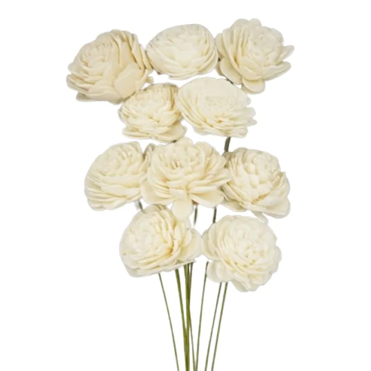 32081-010 索拉玫瑰花插-小 白