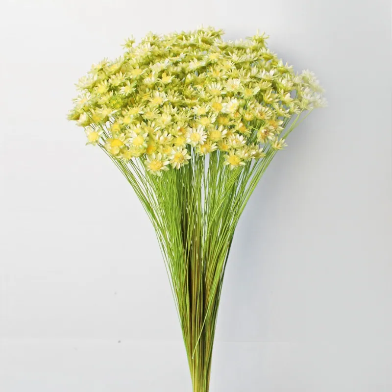 30195-571 小星花(雙色) 黃綠