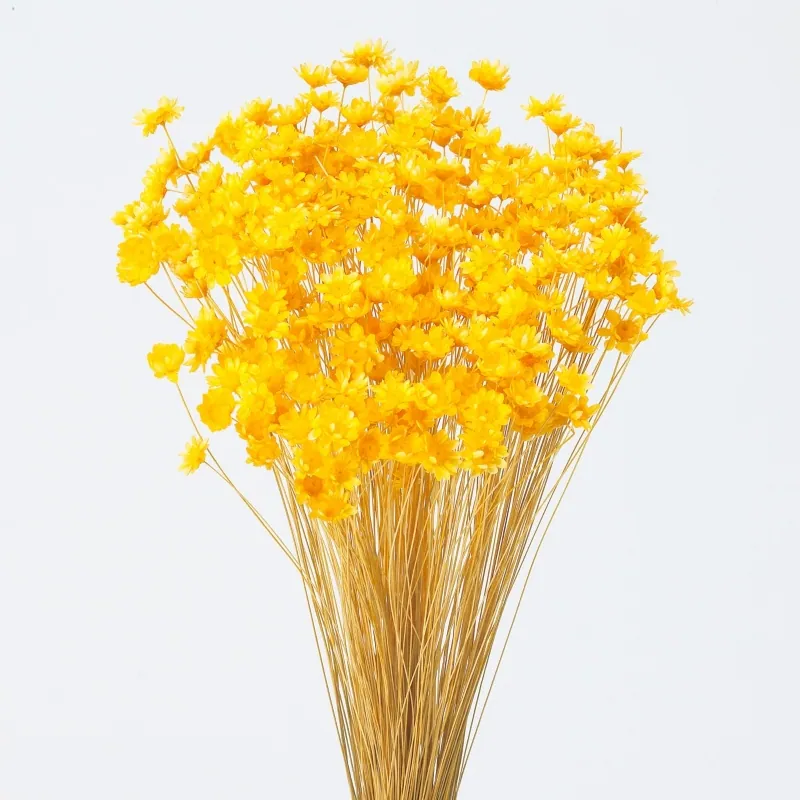 30191-521 小星花 黃