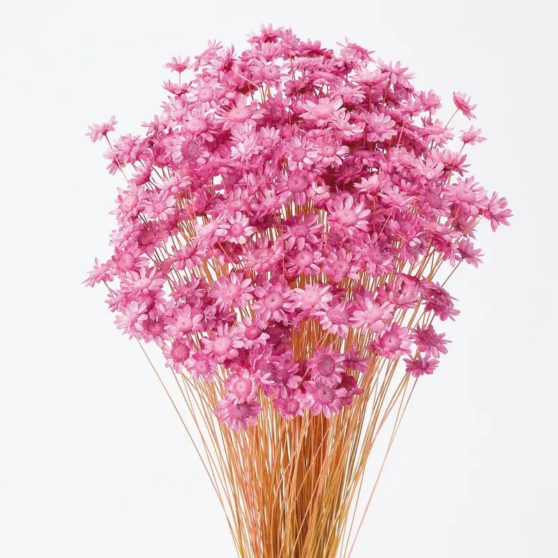 30191-221 小星花 草莓