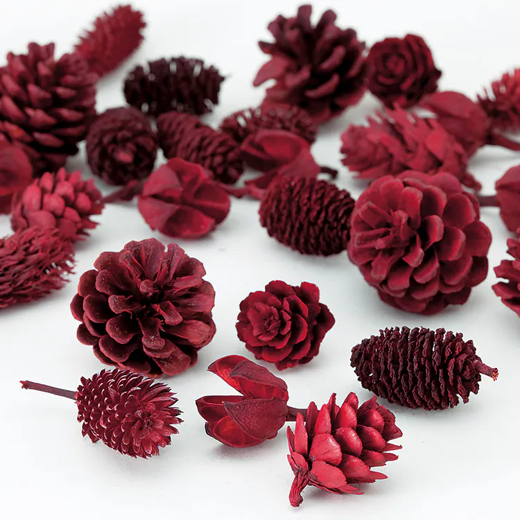 24870-300 紅色果實組合 紅