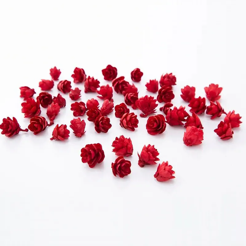 24720-300 落葉松果 紅