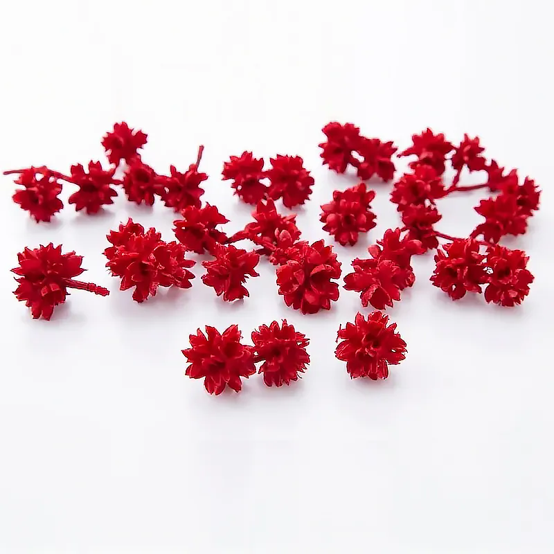24710-301 玉米果 紅