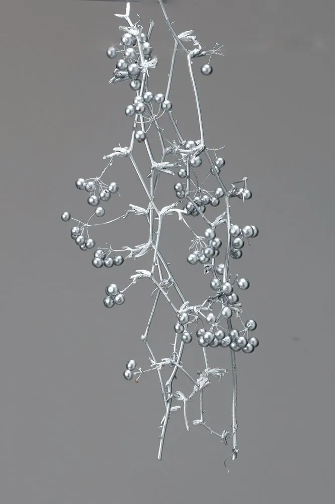 22214-912 山歸來細藤附果實 銀