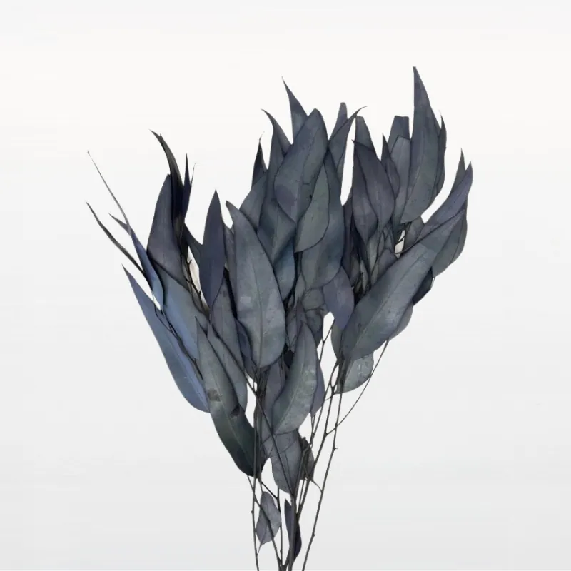 16100-760 柳葉尤加利 藍綠