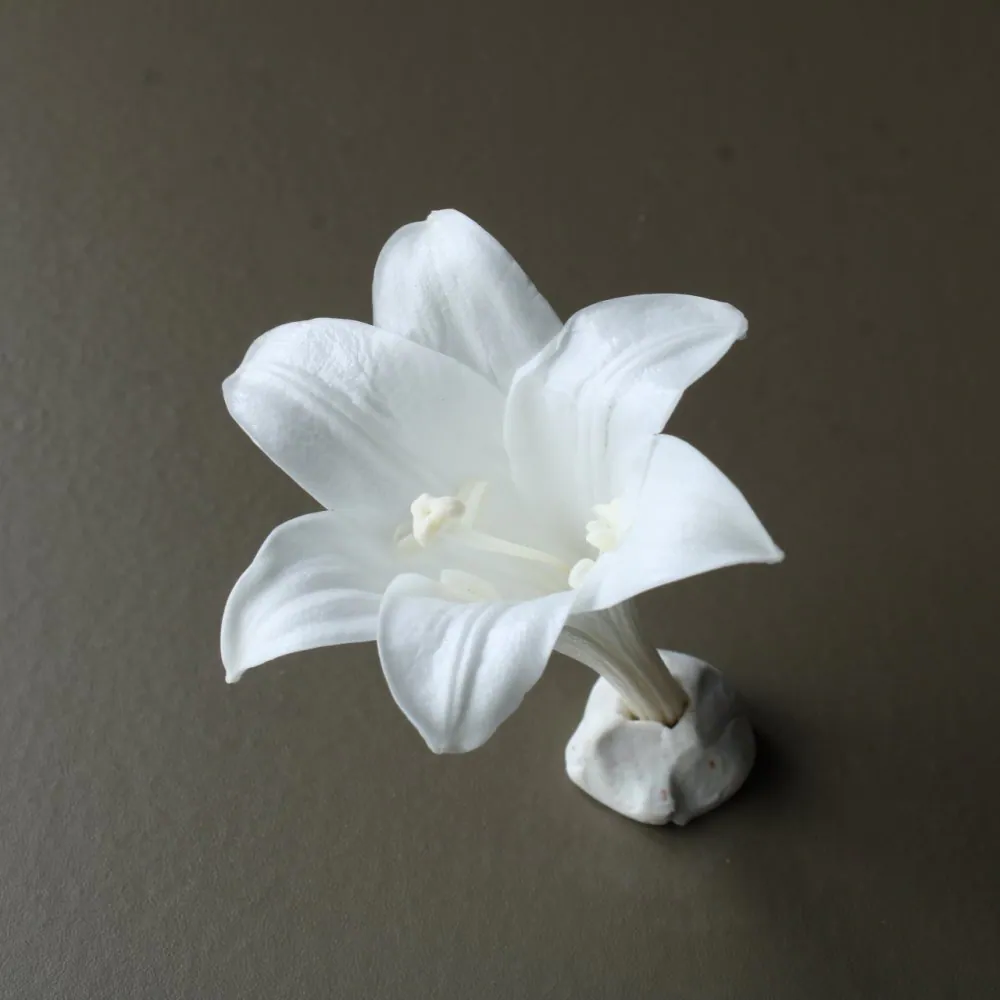 05530-011 麝香百合 白