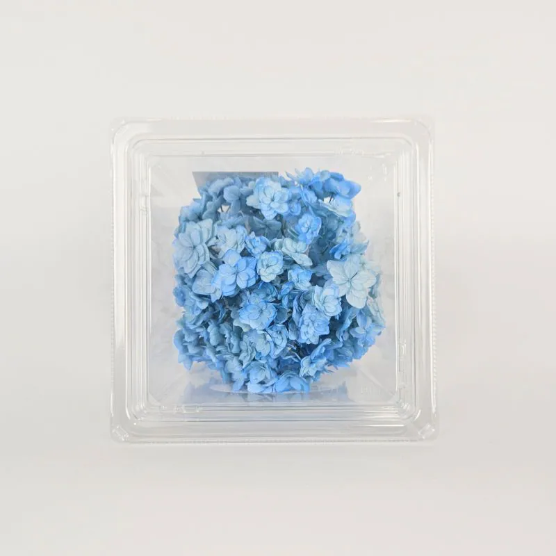 05370-661 小花繡球花 藍青