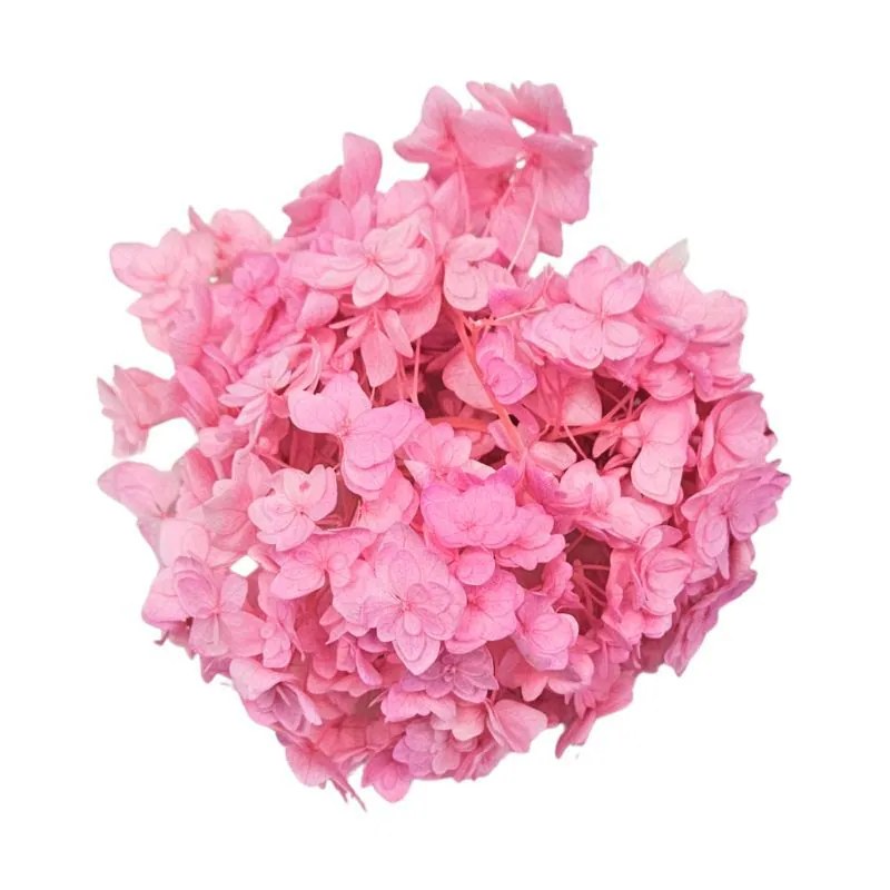 05370-122 小花繡球花 粉玫瑰