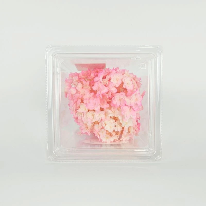 05370-103 小花繡球花 白粉