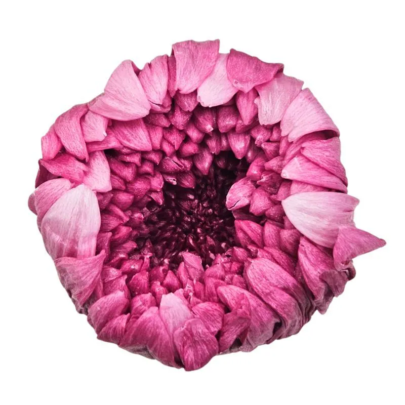 04170-012 輪菊(混色) 白酒紅