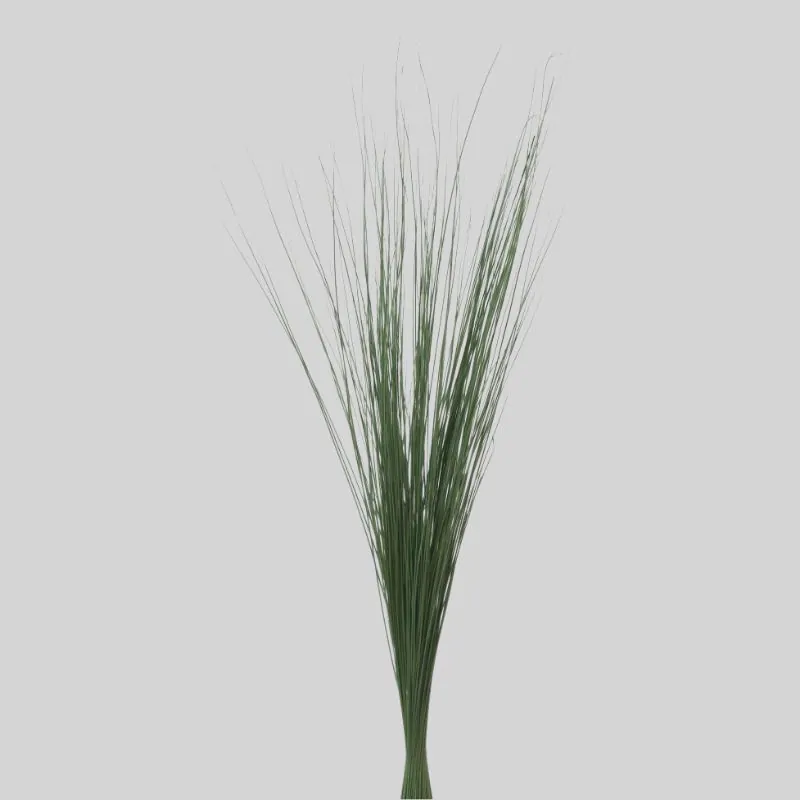 03932-731 彩虹草-短 鮮綠