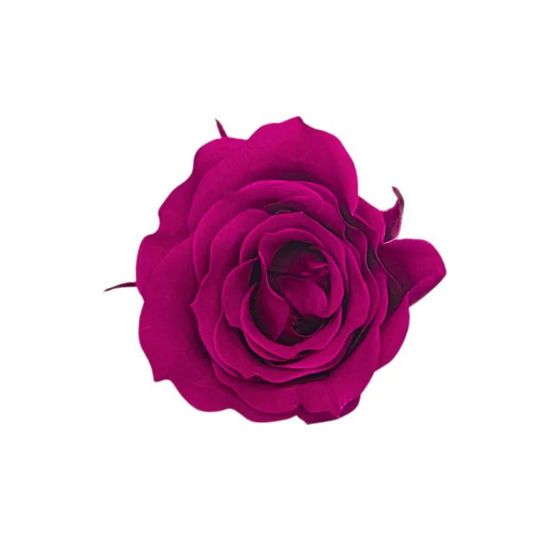 03840-282 小玫瑰 薔薇