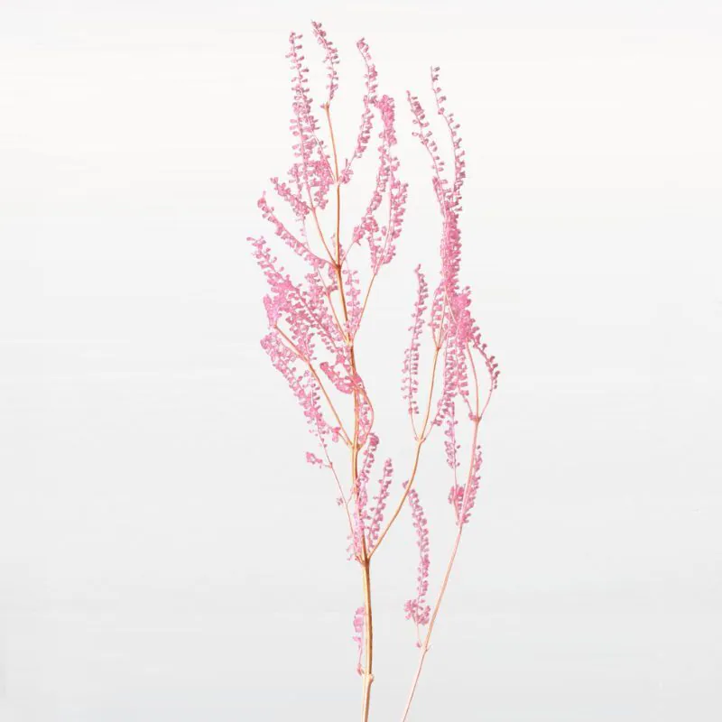 03400-221 紫蘇果穗 草莓