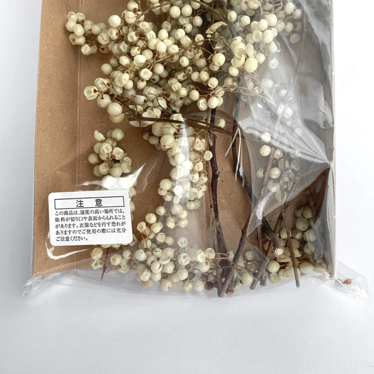 03380-100 胡椒漿果 粉紅