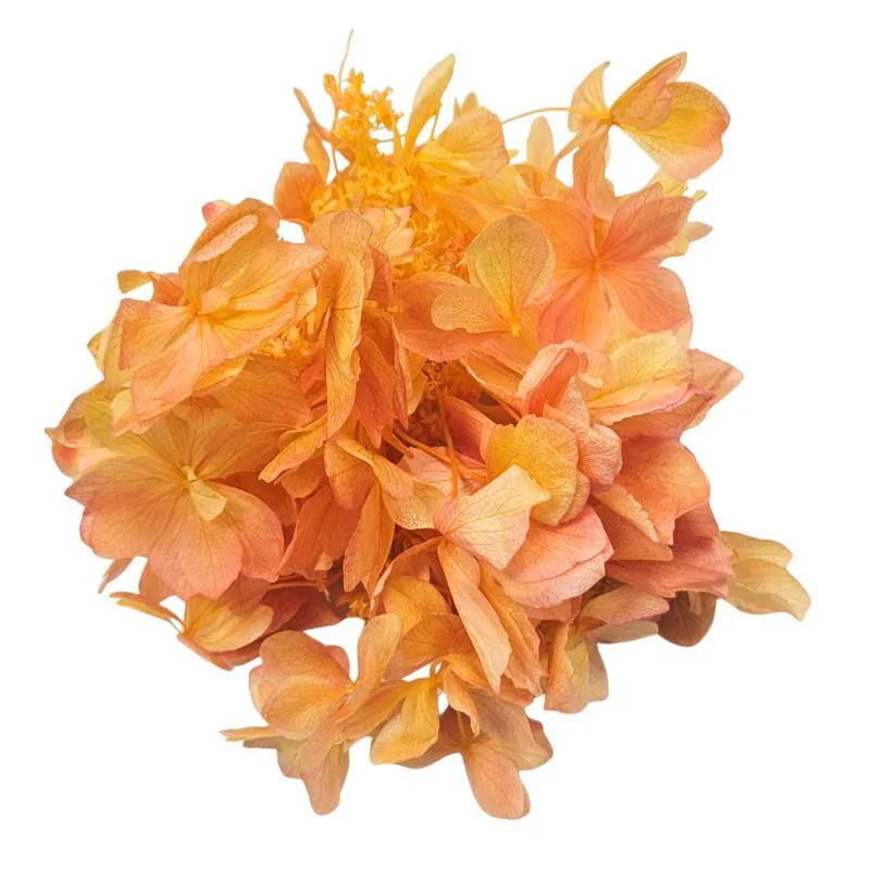 01572-512 杜鵑繡球花 黃玫瑰