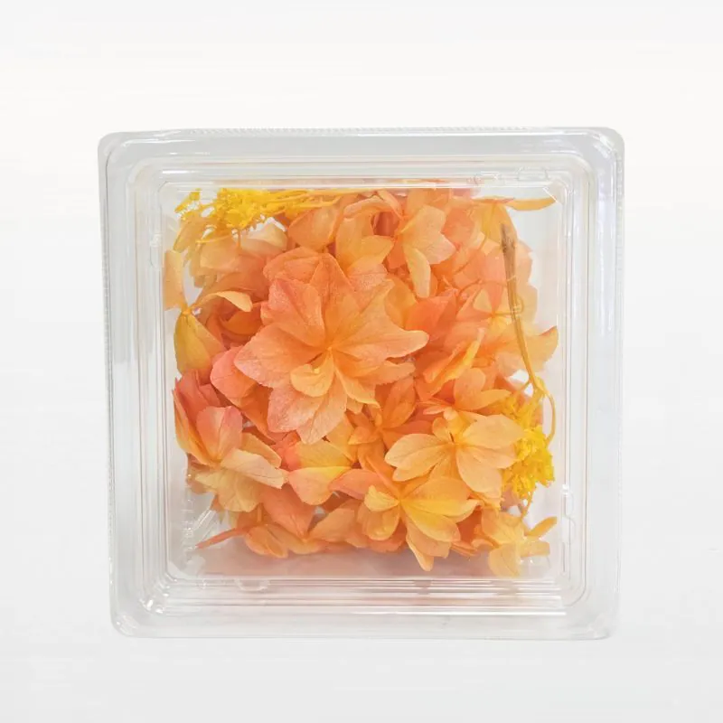 01572-512 杜鵑繡球花 黃玫瑰