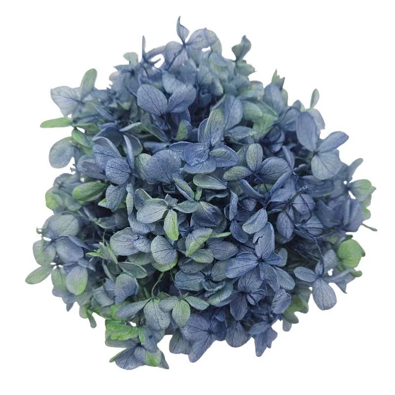 01515-672 金字塔繡球花(混色) 藍萊姆