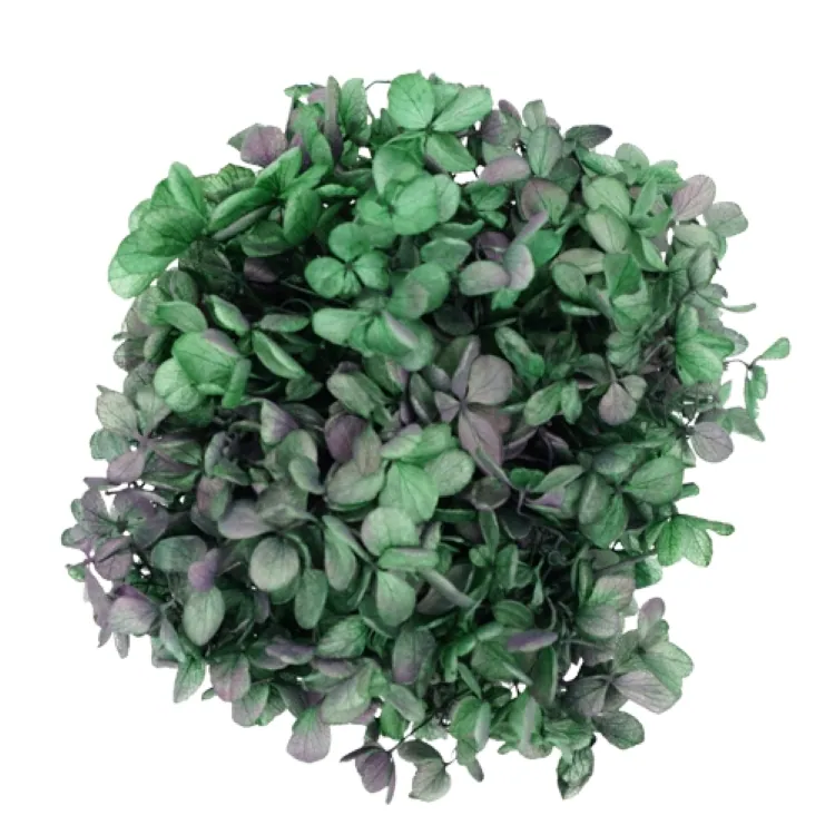 01515-642 金字塔繡球花(混色) 藍紫