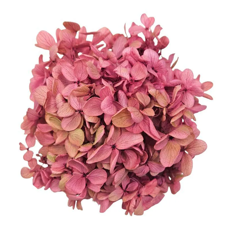 01515-172 金字塔繡球花(混色) 粉萊姆