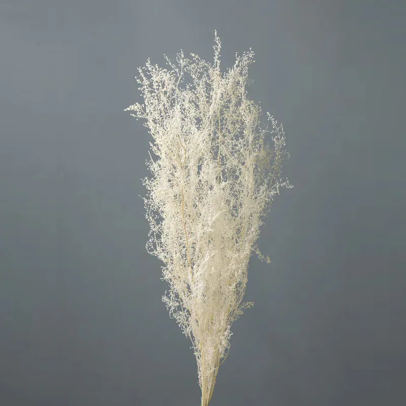 01090-011 青蒿草 米白