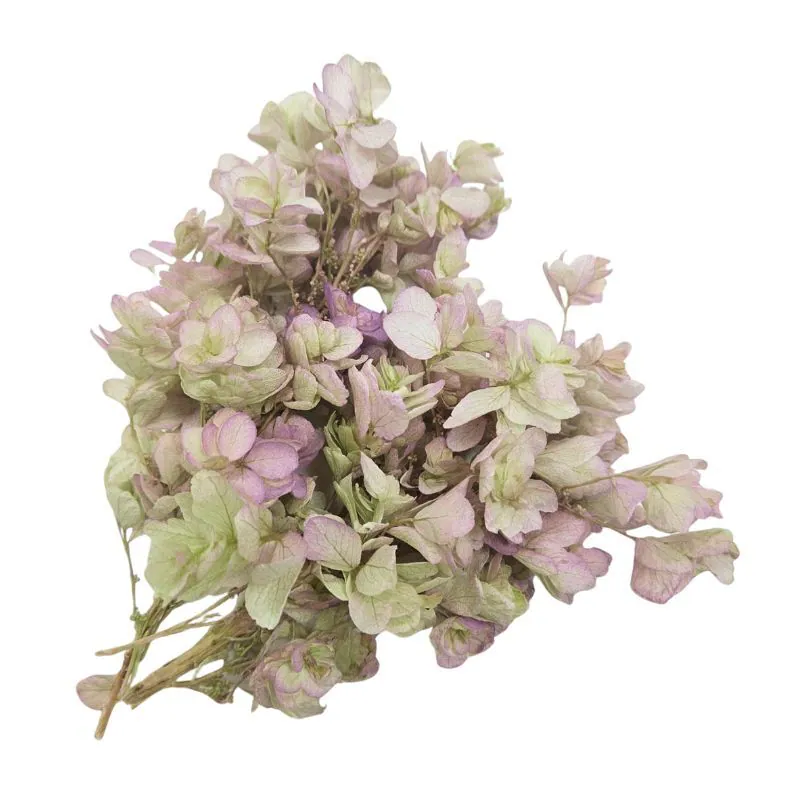 01075-742 重瓣繡球花(混色) 綠紫