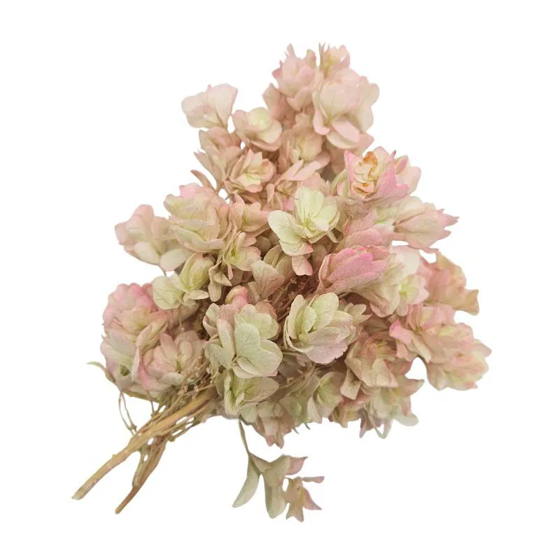01075-713 重瓣繡球花(混色) 綠粉